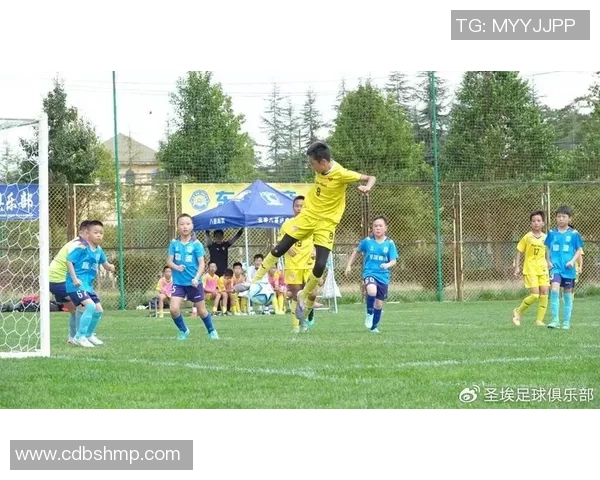 绿茵巨星风采荟萃璀璨群像见证足球荣耀时刻